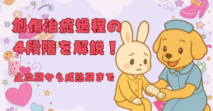 創傷治癒過程の4段階を解説！止血期から成熟期まで